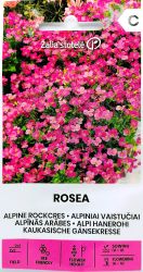 Arabis Rosea Seeds
